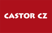 Logo-castore